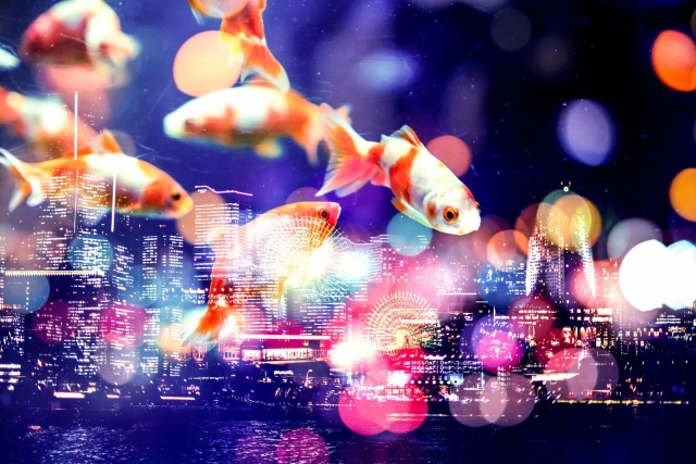 夜景2 夜景2